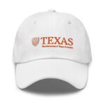 University of Texas at Austin Dad Hat