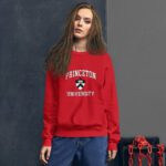 princeton university crewneck sweatshirt