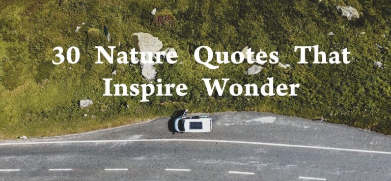 Best 30 Nature Quotes That Inspire Wonder