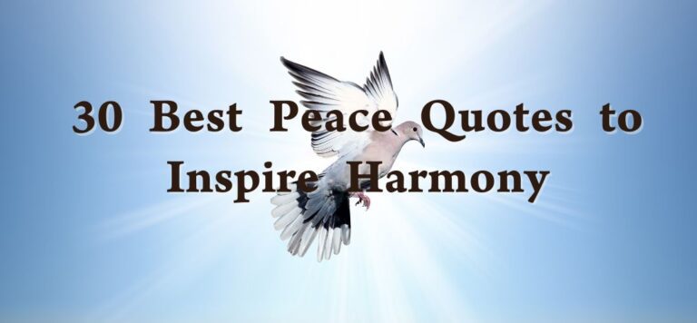 30 Best Peace Quotes to Inspire Harmony