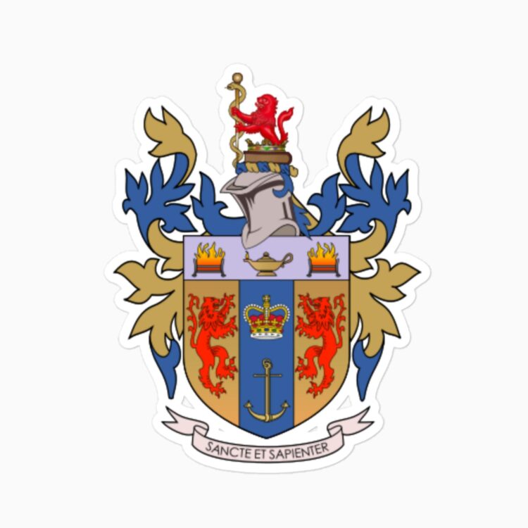 cute king's college london logo sticker